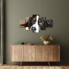 Obraz psa (125x70 cm)