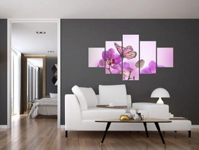 Obraz - Motyl na kwiatach orchidei, liliowy (125x70 cm)