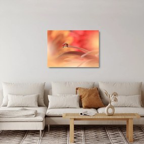 Obraz na szkle kwiecistej kropli rosy (70x50 cm)