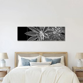 Obraz - Krople (170x50 cm)