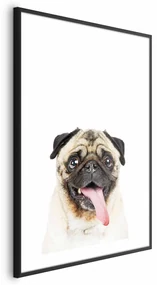 Plakat Mops 60x90 cm z ramą czarną z marginesem ARTGEIST B