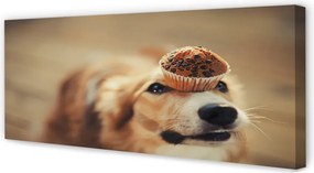 Obraz drukowany na płótnie Pies i Babeczka