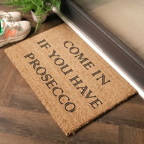 Wycieraczka z włókna kokosowego 40x60 cm Prosecco – Artsy Doormats