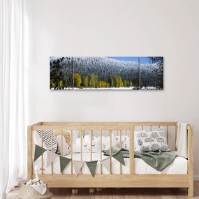 Obraz - ośnieżone góry zimą (170x50 cm)