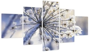 Obraz - Zamarznięty kwiat (125x70 cm)