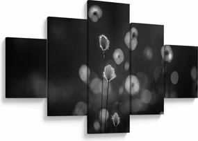 Obraz - Trawa bawełniana na łące (125x70 cm)