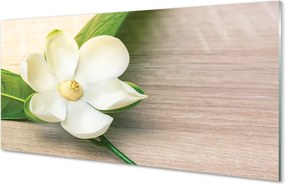 Panel Kuchenny Szklany Szlachetna Biała Magnolia