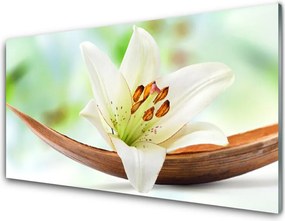 Szkło Ozdobne do Kuchni Subtelny Pąk Kwiatowy