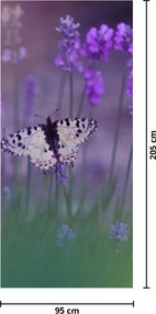 Fototapeta na drzwi - Motyl w lawendzie (95x205cm)