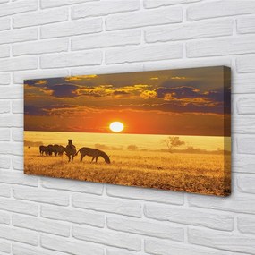 Fotoobraz na płótnie Zebry o Zachodzie Słońca