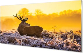 Panel nad Blat Kuchenny Zimowy Świt z Jeleniem