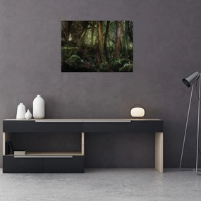 Obraz na szkle - Tajemniczy las (70x50 cm)