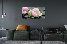 Obraz canvas na ścianę Magnolia i Kamienie