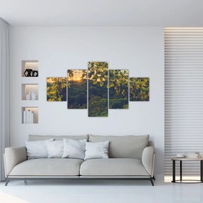 Obraz - Winnica (125x70 cm)