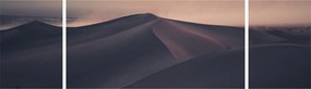 Obraz - Wydmy piaskowe (170x50 cm)