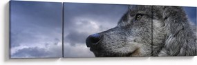 Obraz - Głowa wilka (170x50 cm)
