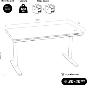 Biurko elektryczne sit-stand z szufladą i ładowarką bezprzewodową Qi białe, 1200 mm: ELLIS