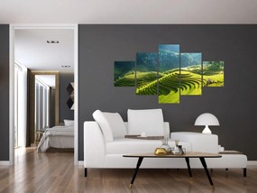 Obraz - Koncert w Tarasach Ryżowych (125x70 cm)
