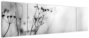 Obraz - Detal kwiatów polnych (170x50 cm)