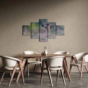 Obraz - Szczegół trawy (125x70 cm)