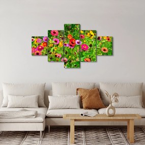 Obraz kwiatów polnych (125x70 cm)