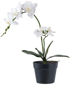 Sztuczny kwiat (wysokość 47 cm) Orchid – House Nordic