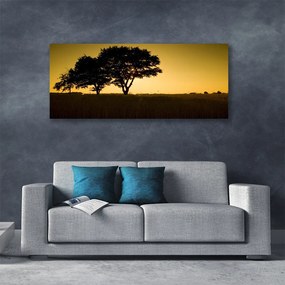 Zdjęcie na płótnie Naturalna Gęstwina Parkowa