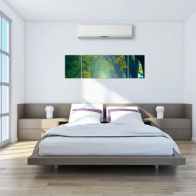 Obraz drogi wysadzanej drzewami (170x50 cm)