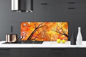 Szkło do Kuchni na Ścianę Gęsty Las Liściasty