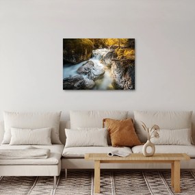 Obraz - Strumień leśny (70x50 cm)