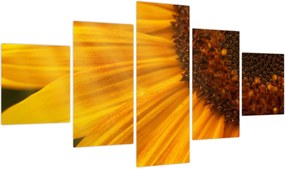 Obraz - Słoneczniki (125x70 cm)