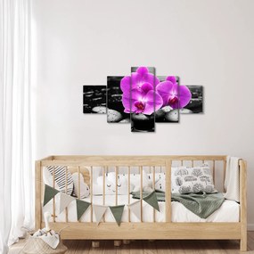 Obraz - Fioletowe orchidee (125x70 cm)