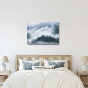Obraz na szkle - Drzewa we mgle (70x50 cm)