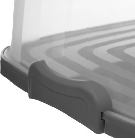 Przenośny pojemnik na ciasto, 33 x 36 cm