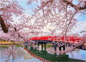 Obraz na szkle - Hirosaki, Japonia (70x50 cm)