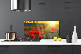 Panel Szklany Łąka Maki Roślina Natura