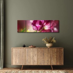 Obraz różowych tulipanów (170x50 cm)