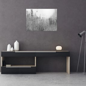 Obraz - Lawenda (70x50 cm)