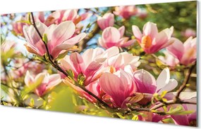 Szklany Panel Różowa Magnolia w Detalu