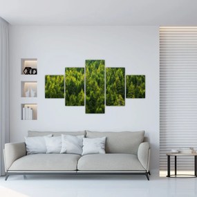 Obraz - Gęsty las (125x70 cm)