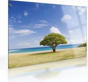 Obraz na szkle - plaża z drzewem (70x50 cm)