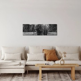 Obraz - Szkocka krowa (z zegarem) (90x30 cm)