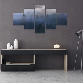 Obraz - Las we mgle, Karpaty, Ukraina (125x70 cm)