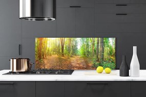 Panel Kuchenny Głusza Starego Lasu