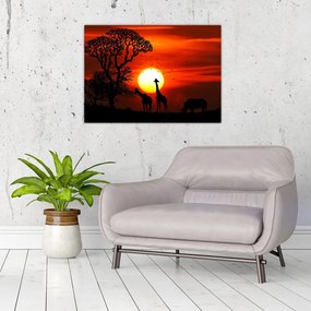 Obraz na szkle - Sylwetki zwierząt o zachodzie słońca (70x50 cm)