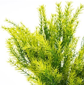 Sztuczny bukiet Asparagus, 53 cm