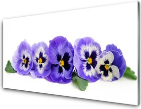 Dekor Szklany do Kuchni Kolorowe Aksamitne Bratki