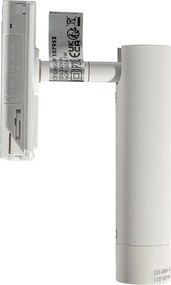 Nowoczesny reflektor biały do systemu szynowego jednofazowego - Iconic Ivy