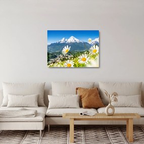 Obraz na szkle - Wiosna w Alpach (70x50 cm)