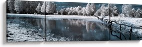 Obraz - Zamarznięty krajobraz (170x50 cm)